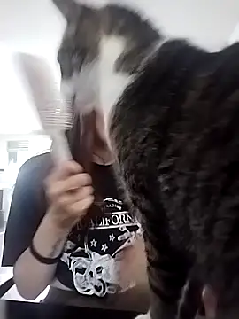 Cami Konor online show from September 11, 2025, 4:07 pm