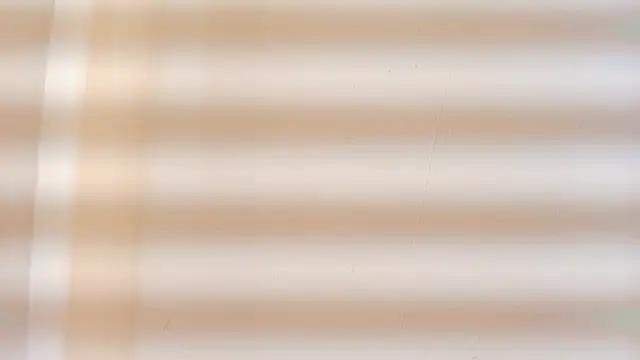 zarah andrew   online show from October 25, 2025, 2:07 pm