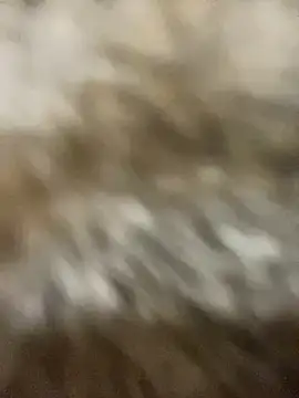 Sayhi xo online show from September 27, 2025, 9:26 am