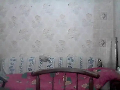 NatalieNorth online show from February 27, 2026, 10:20 pm