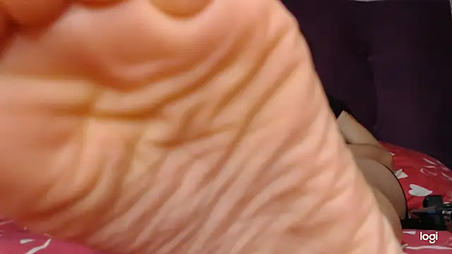 ash feet online show from November 17, 2025, 2:59 am