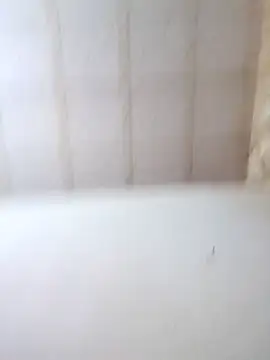 Snapshot of bon_bonsex chatting on October 24, 2025, 5:06 am bon bonsex online show from October 24, 2025, 5:06 am