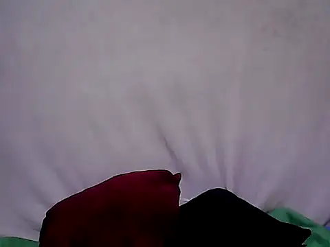 sh1nbae online show from September 23, 2025, 10:22 am