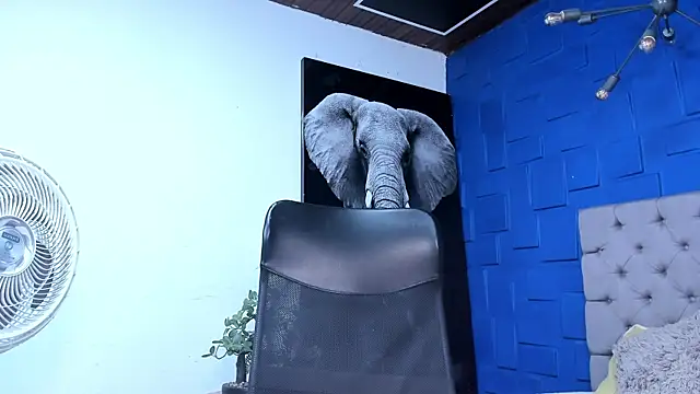 Snapshot of andres-clark92 chatting on November 2, 2025, 5:29 pm andres-clark92 online show from November 2, 2025, 5:29 pm