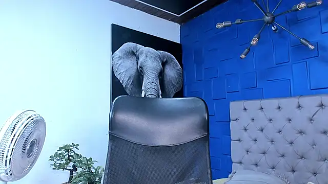 Snapshot of andres-clark92 chatting on October 26, 2025, 6:19 pm andres-clark92 online show from October 26, 2025, 6:19 pm