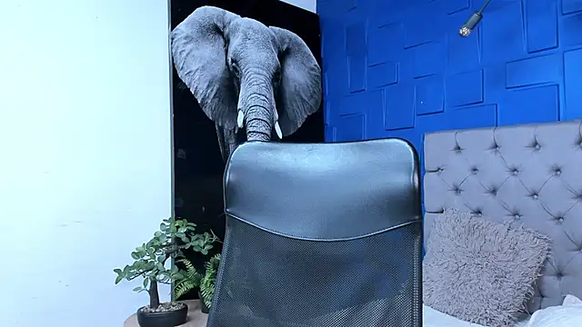 Snapshot of andres-clark92 chatting on October 27, 2025, 6:31 pm andres-clark92 online show from October 27, 2025, 6:31 pm