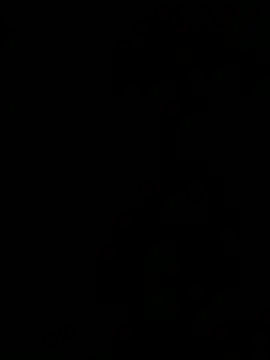 ALANNFERRER online show from April 22, 2026, 10:11 am