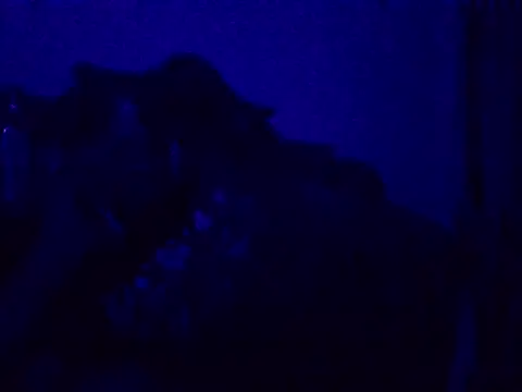 harish x online show from April 20, 2026, 7:04 pm