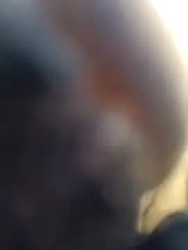 ShawnandDani7074 online show from February 4, 2026, 5:52 pm