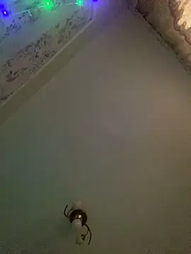 missevacrystal online show from November 7, 2025, 11:48 am