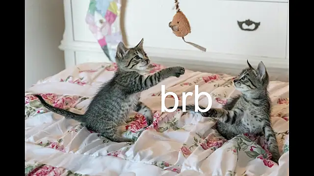 Pink girl0n online show from September 27, 2025, 4:13 pm