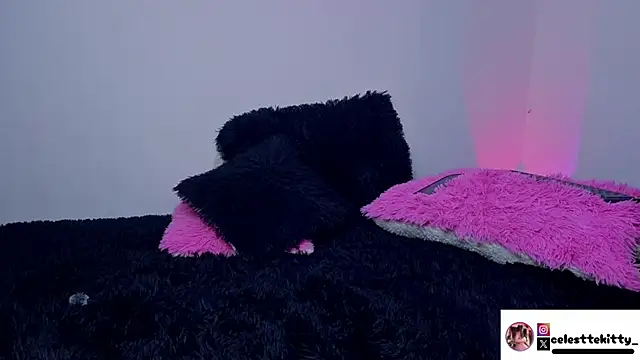 celestte evans 1 online show from March 16, 2026, 3:47 am