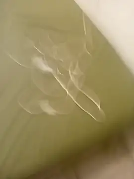 Snapshot of lameraverja123 chatting on November 8, 2025, 11:08 pm lameraverja123 online show from November 8, 2025, 11:08 pm