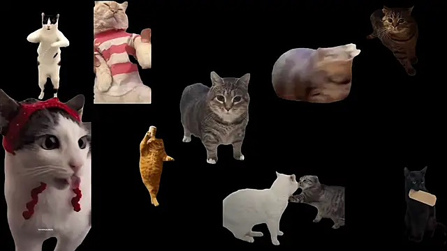 ch0wn m online show from November 17, 2025, 10:52 am