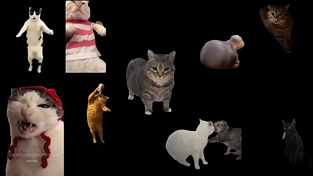 ch0wn m online show from November 14, 2025, 1:15 pm