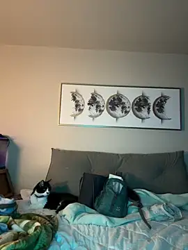 petalsexy online show from November 17, 2025, 3:38 pm