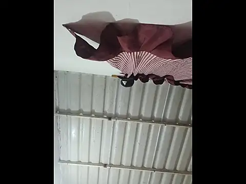 alex-golden online show from November 25, 2025, 11:05 pm