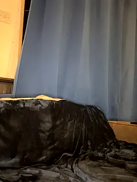 Snapshot of Thess691 chatting on November 25, 2025, 10:54 pm Thess691 online show from November 25, 2025, 10:54 pm