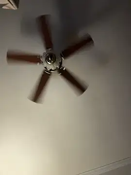 bb empress online show from December 1, 2025, 9:43 am