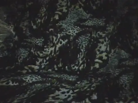 mafiaegypt888 online show from March 28, 2026, 12:33 am