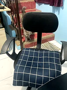 ieat monsters online show from October 6, 2025, 9:21 am