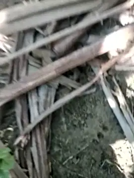 Snapshot of Real_Sucker chatting on November 28, 2025, 4:56 am Real Sucker online show from November 28, 2025, 4:56 am