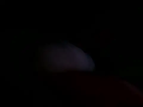 astridcollinsvip online show from October 25, 2025, 10:36 am