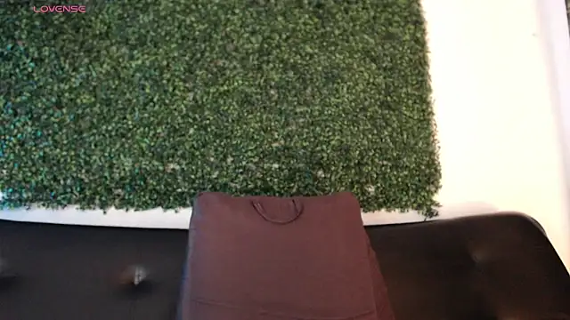 Snapshot of sam_ford_2 chatting on February 8, 2026, 1:03 am sam ford 2 online show from February 8, 2026, 1:03 am