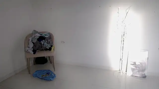 Stein  online show from September 25, 2025, 12:00 pm