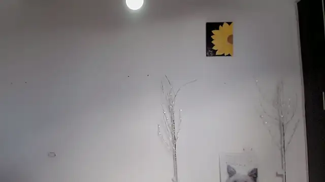 Stein  online show from September 15, 2025, 1:55 pm