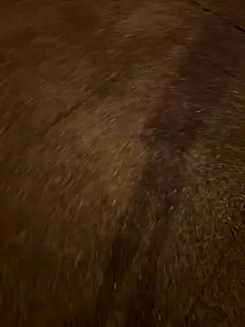 Foxfoxfox4 online show from November 28, 2025, 1:00 pm