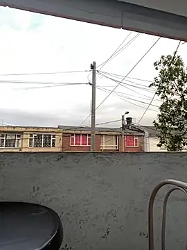 Sallem Pink online show from March 22, 2026, 11:12 am