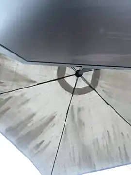 Sallem Pink online show from April 4, 2026, 11:17 am