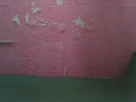 violen786 online show from October 23, 2025, 5:17 am