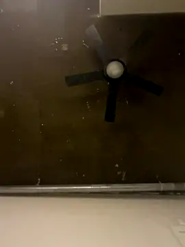 Orgazmic007 online show from October 8, 2025, 4:25 am