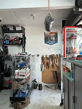 Terra-22cm online show from November 4, 2025, 3:27 pm