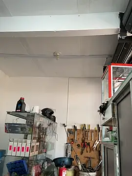 Terra-22cm online show from March 1, 2026, 2:39 pm