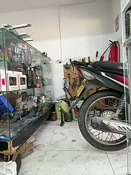 Terra-22cm online show from March 10, 2026, 12:42 pm