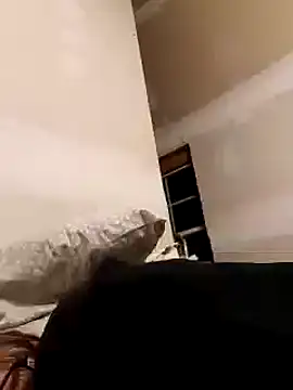 dandonn online show from January 25, 2025, 6:34 am