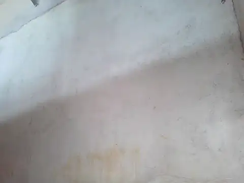 star ass online show from October 19, 2025, 11:51 pm