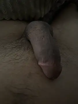 dzpieds online show from March 17, 2026, 1:58 pm