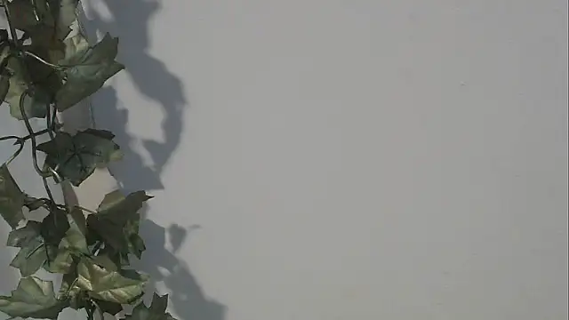 Snapshot of angelainparis28 chatting on October 5, 2025, 8:16 am angelainparis28 online show from October 5, 2025, 8:16 am