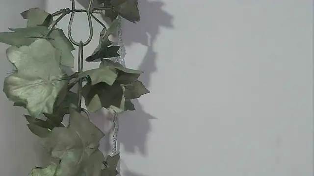 Snapshot of angelainparis28 chatting on November 17, 2025, 8:24 pm angelainparis28 online show from November 17, 2025, 8:24 pm