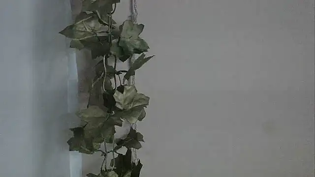 Snapshot of angelainparis28 chatting on December 2, 2025, 5:09 am angelainparis28 online show from December 2, 2025, 5:09 am