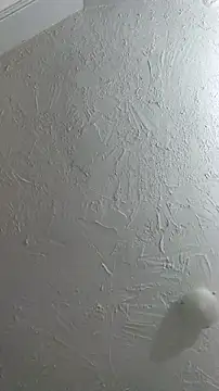 Snapshot of Bulbasaurisme chatting on September 26, 2025, 1:23 am Bulbasaurisme online show from September 26, 2025, 1:23 am