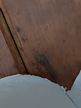 Gusttavotesudoxxvvc online show from September 20, 2025, 4:06 am