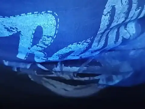 Snapshot of wisman1298 chatting on March 7, 2026, 10:37 pm wisman1298 online show from March 7, 2026, 10:37 pm