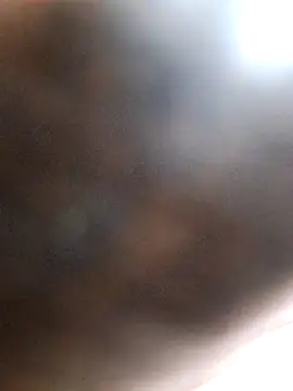 Carlosshaefer online show from February 12, 2026, 4:51 pm