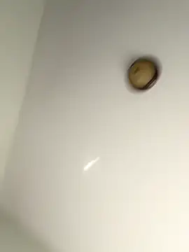 lilcubangoddess online show from October 28, 2025, 2:27 pm