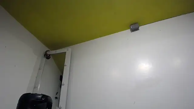 Snapshot of habdiela chatting on October 16, 2025, 11:24 pm habdiela online show from October 16, 2025, 11:24 pm